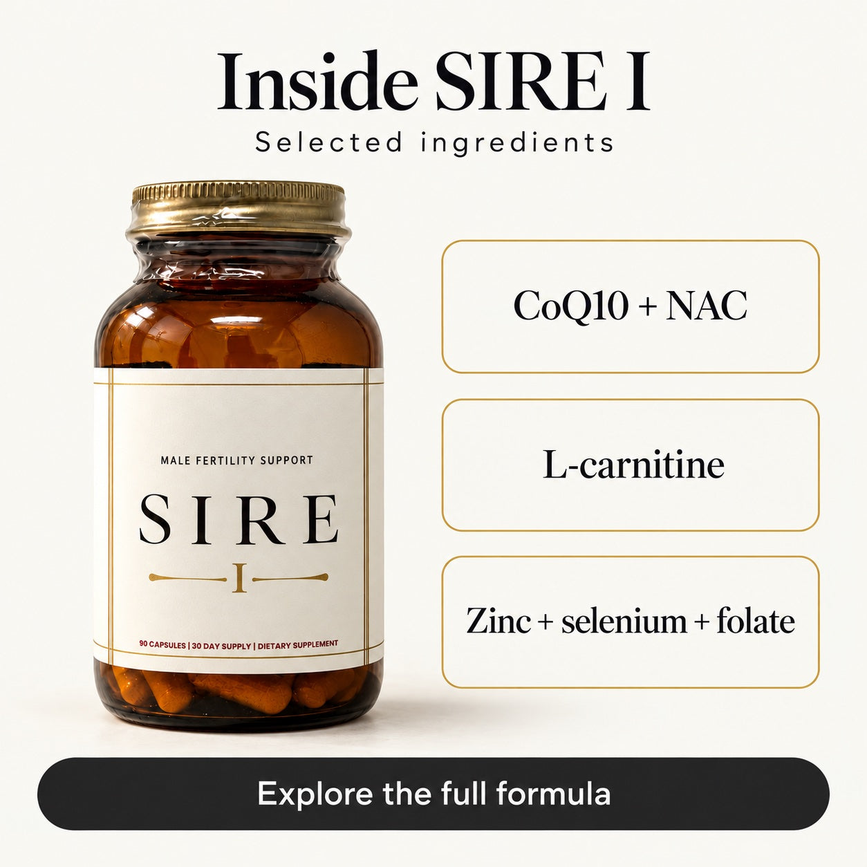 Selected SIRE I ingredients: CoQ10, NAC, L-carnitine, zinc, selenium and folate. Explore the full formula for details.